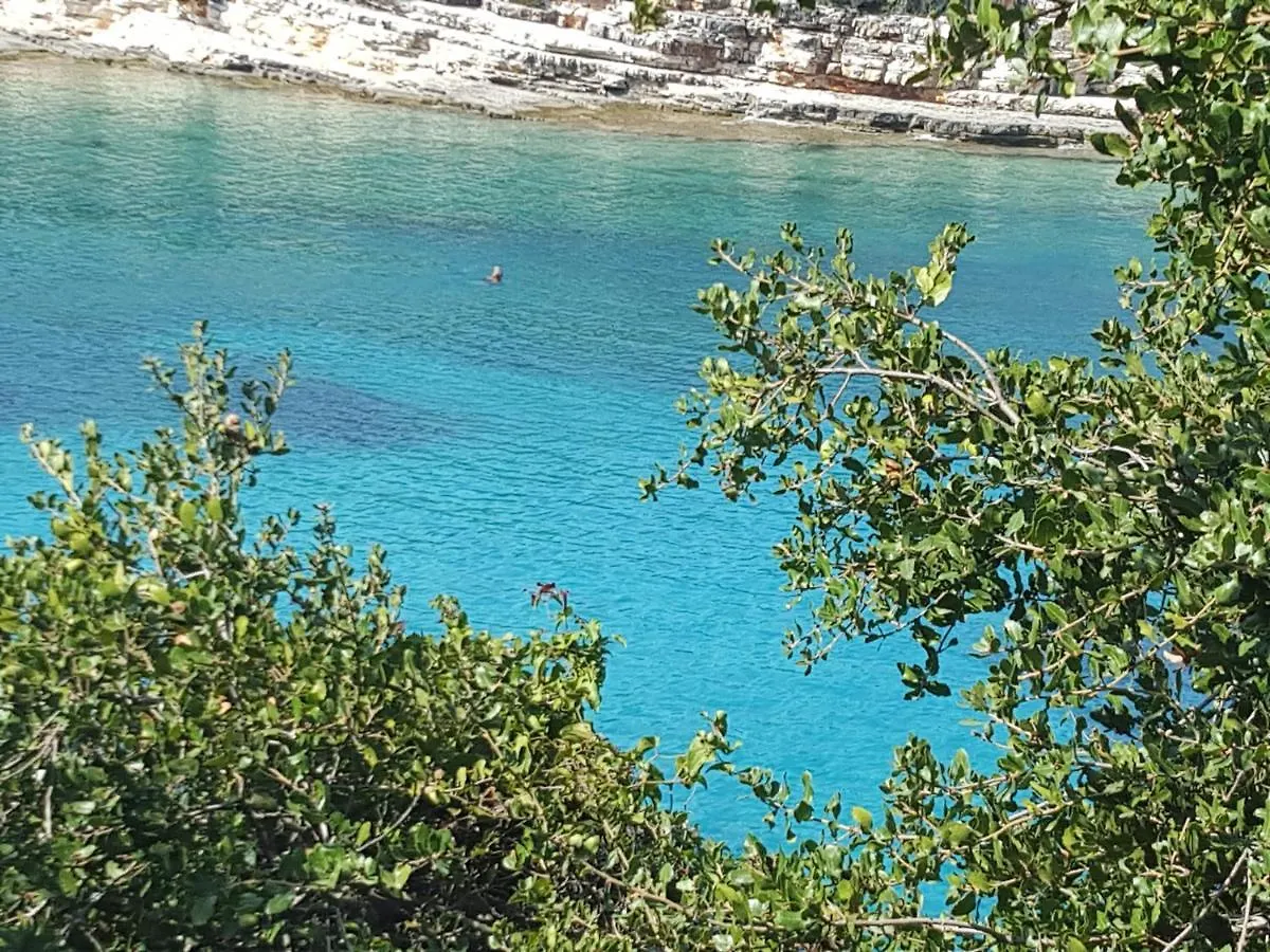 Nitsa'S Fiori Fiscardo Hotel Fiskardo Greece
